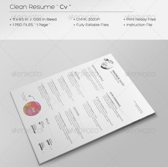clean resume vol.5 - Resume/CV Templates
