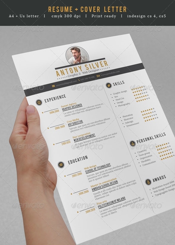 professional resume - Resume/CV Templates