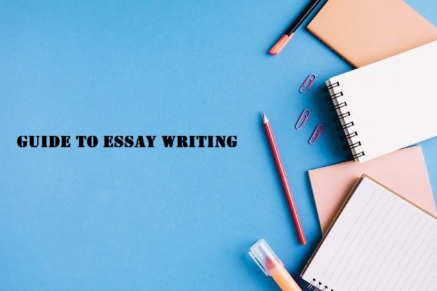 best guide to essay writing